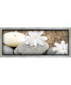 Tableau déco cadre vitrine 20x50  Galets fleurs blanches