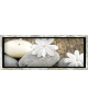 Tableau déco cadre vitrine 20x50  Galets fleurs blanches