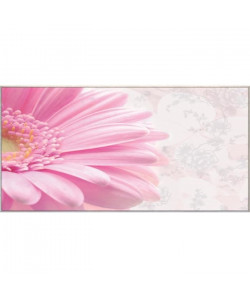 Tableau déco Affiche contrecollée 50x100  Marguerite rose