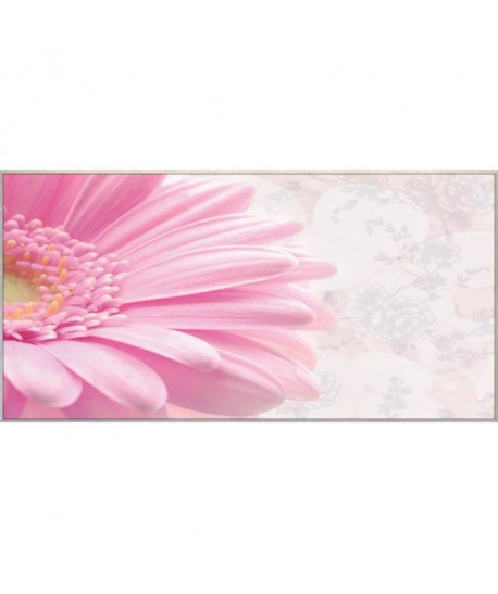 Tableau déco Affiche contrecollée 50x100  Marguerite rose