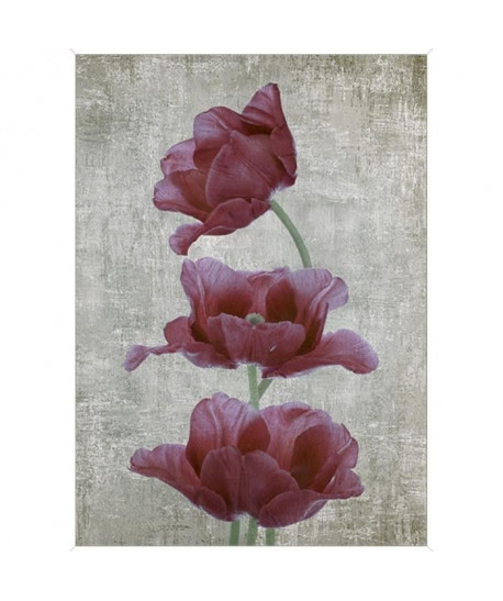 Tableau déco Affiche contrecollée 50x70  Fleurs rouge