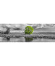 TREE Tableau déco Affiche contrecollée 30x90 cm gris et vert