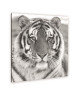 TIGRE Tableau déco Ecoflot 40x40 cm blanc, noir et gris