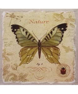 Tableau Déco Toile Imprimée Lin Papillon Nature  50x50cm