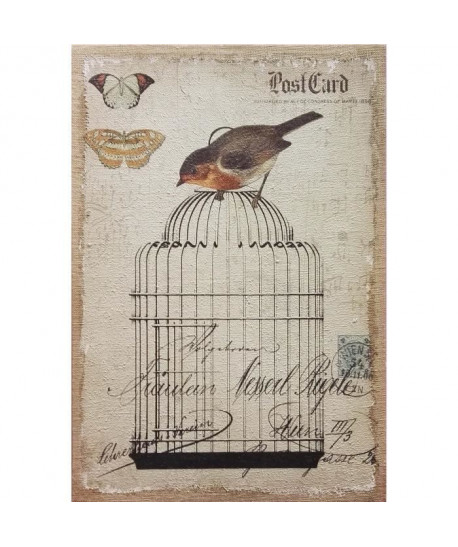 Tableau Déco Toile Imprimée Jute Oiseau Cage  60x90cm