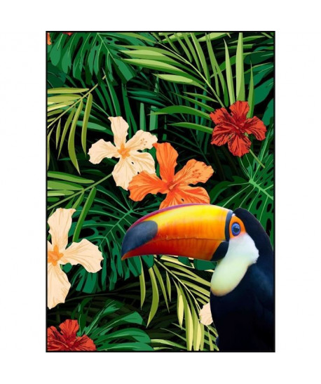 Tableau déco glossy Tropical Toucan  50 x 70 cm