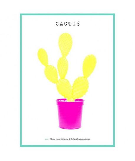 Tableau déco glossy Cactus Yell One  50 x 70 cm