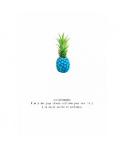 Tableau déco glossy Pineapple  50 x 70 cm