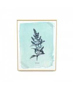 Tableau déco printbox Herbarium Lagon  30 x 40 cm