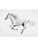 Tableau Glass\'Art 50x70 cm Cheval blanc au galop