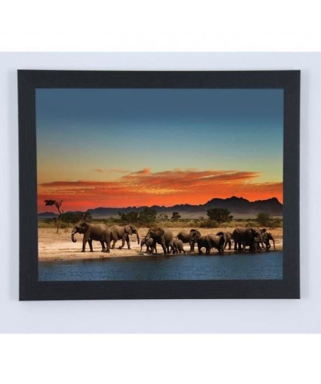 Image encadrée Eléphants et couché de soleil  67 x 87 cm