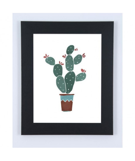 Image encadrée Cactus  37 x 47 cm