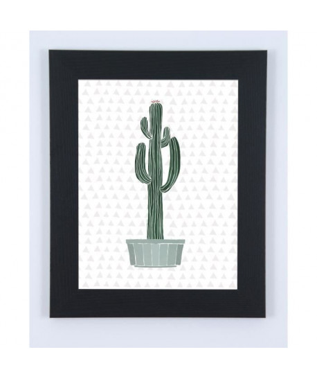 Image encadrée Cactus  37 x 47 cm