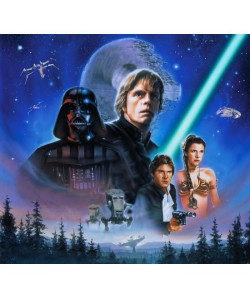 STAR WARS Panoramique Poster XXL 276x254 cm  support intissé  colle incluse bleu