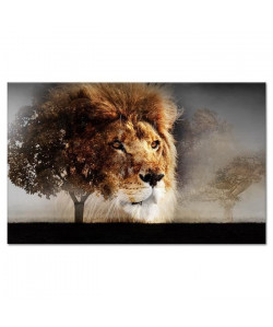 Tableau Déco Photo Lion  Animaux  80x50 cm