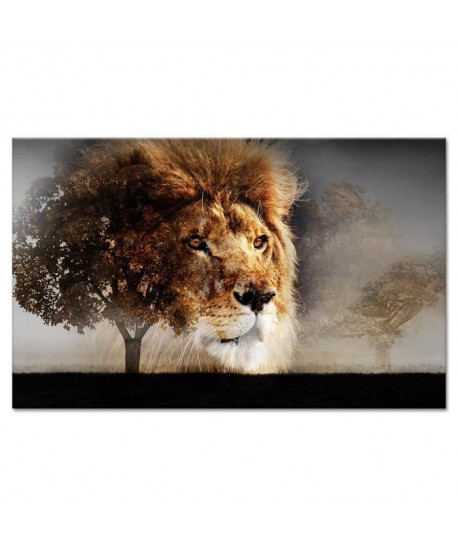 Tableau Déco Photo Lion  Animaux  80x50 cm