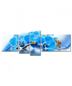 Tableau Déco Fleurs Orchidées Bleues  160x60 cm