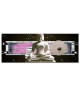 Tableau Déco Zen Décoration Statue de Bouddha  Zen  80x30 cm