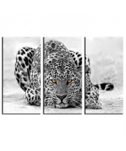 TIGRE Tableau Multi Panneaux  90x60cm