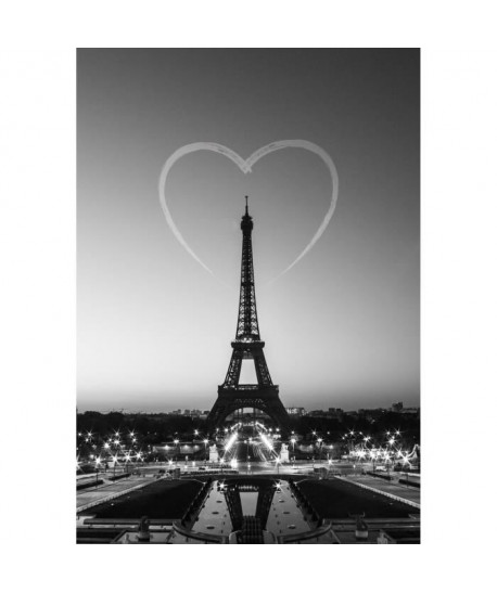 IMAGINE Toile Amour et Paris  30X45