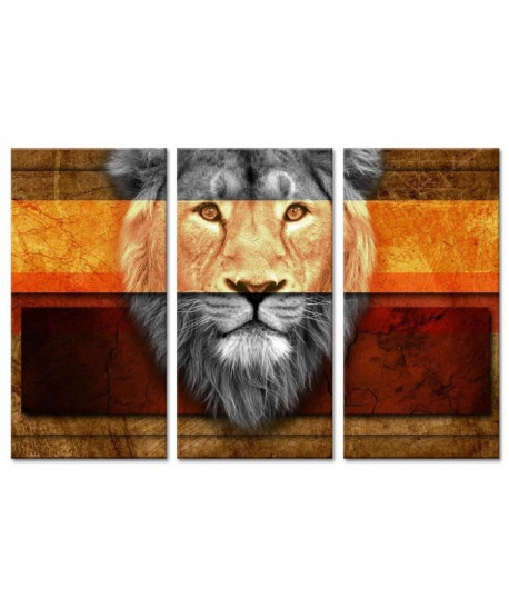 LION Tableau multi panneaux 120x80 cm orange