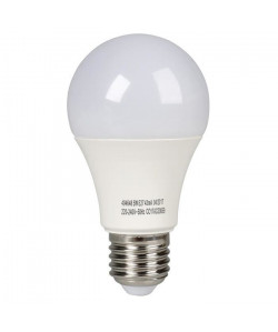 EXPERTLINE Ampoule LED E27 standard 5 W équivalent a 60 W blanc froid