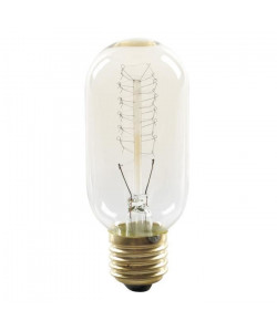 EXPERT LINE Ampoule a incandescence décorative E27 25 W compatible variateur