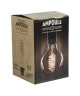 EXPERT LINE Ampoule a incandescence décorative E27 25 W compatible variateur