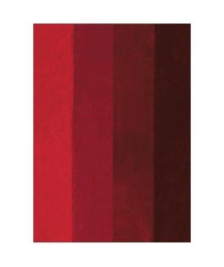 SPIRELLA Tapis de bain FOUR 55x65 cm  Rouge