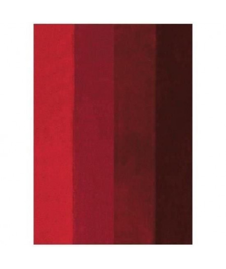 SPIRELLA Tapis de bain FOUR 55x65 cm  Rouge