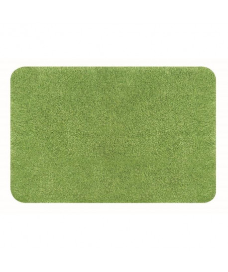 SPIRELLA Tapis de bain BRIZZOLO 55x65 cm  Vert