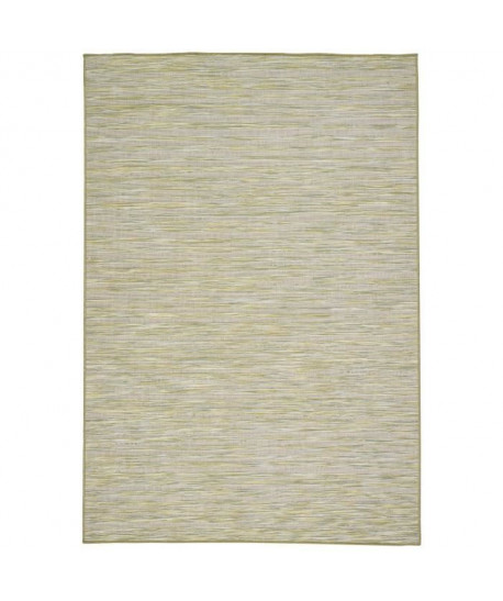 Tapis  intérieur/extérieur 160x230 cm vert