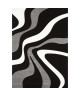 DIAMOND VAGUES Tapis de salon 120x170 cm noir, gris et blanc