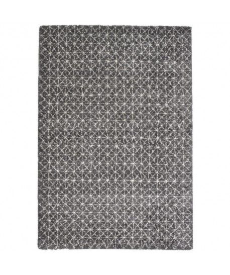 Tapis de salon Wool style classique 160x230 cm gris