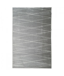 Tapis de salon Géométrique TOSCANE Gris et Creme 160x230cm