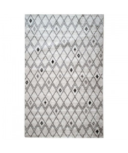 Tapis de salon Contemporain TOSCANE Creme et Gris 120x170cm