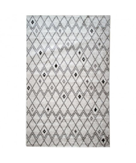 Tapis de salon Contemporain TOSCANE Creme et Gris 160x230cm