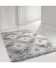 Tapis de salon ethnique TOSCANE Gris et créme 120x170cm