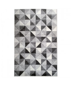 Tapis de salon contemporain TOSCANE Gris et créme 160x230cm