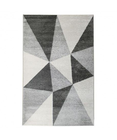 Tapis de salon contemporain TOSCANE Gris et créme 160x230cm