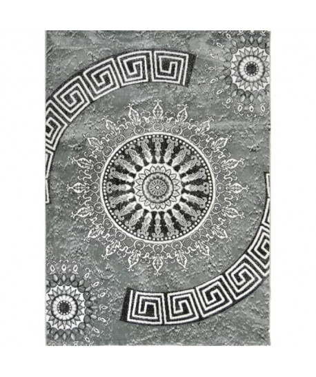 BAHIA Tapis de salon 120x170 cm gris et noir