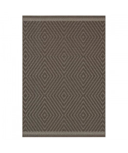 ANTIQUE Tapis naturel tissé plat en velours polypropylene  160x230 cm  Taupe et gris