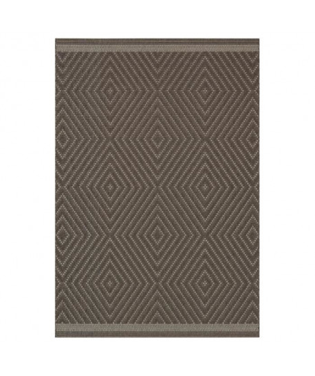 ANTIQUE Tapis naturel tissé plat en velours polypropylene  160x230 cm  Taupe et gris