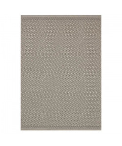 ANTIQUE Tapis naturel tissé plat en velours polypropylene  160x230 cm  Creme et gris