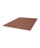 ESSENZA Tapis naturel tissé plat en velours polypropylene  160x230 cm  Rouge terracotta