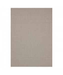 ESSENZA Tapis naturel tissé plat en velours polypropylene  120x170 cm  Gris beige