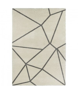 CONTINENTAL Tapis de salon laineux 160X230 cm Creme et Gris