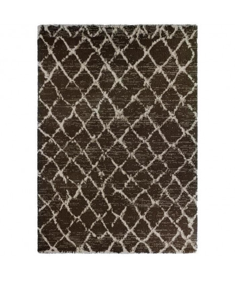 ASMA Tapis de salon style Berbere en polypropylene laineux  120x170 cm  Chocolat et Beige