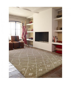 CONTINENTAL Tapis de salon laineux 120X170 cm greige/Beige