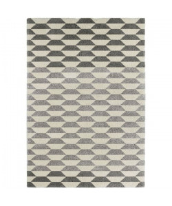 CONTINENTAL Tapis de salon laineux 120X170 cm Creme/Gris clair